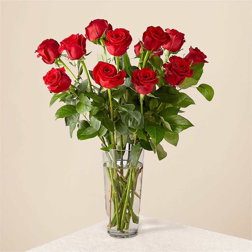 Long Stem Red Rose Bouquet – D & L FLORIST & GIFTS LLC, Houston MO