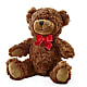 Adorable Plush Bear – D & L FLORIST & GIFTS LLC, Houston MO