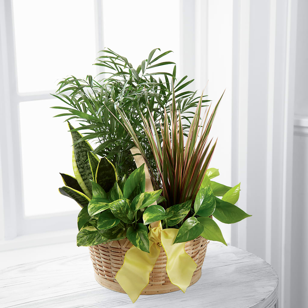 French Garden – D & L FLORIST & GIFTS LLC, Houston MO