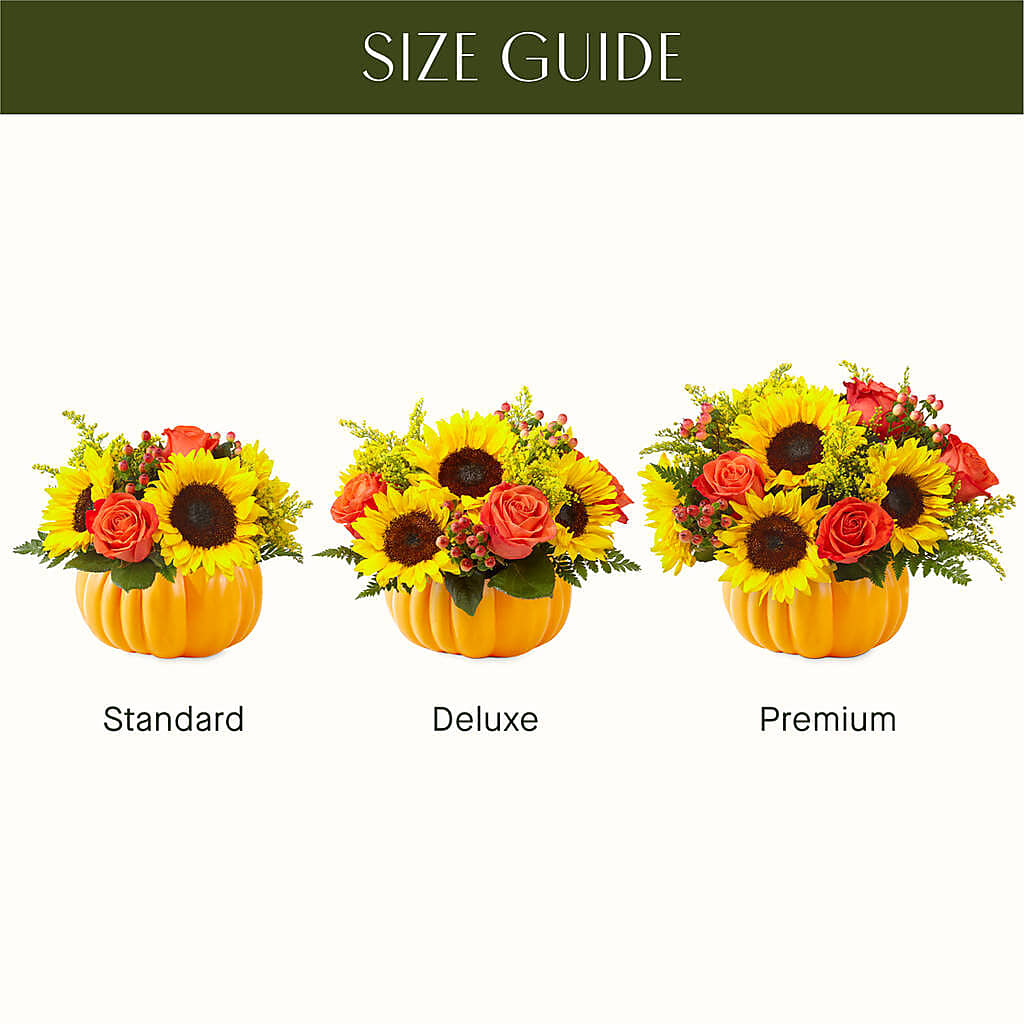 Pick of the Patch Pumpkin Bouquet – D & L FLORIST & GIFTS LLC, Houston MO