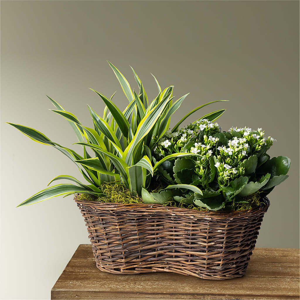 Blooming Garden – D & L FLORIST & GIFTS LLC, Houston MO