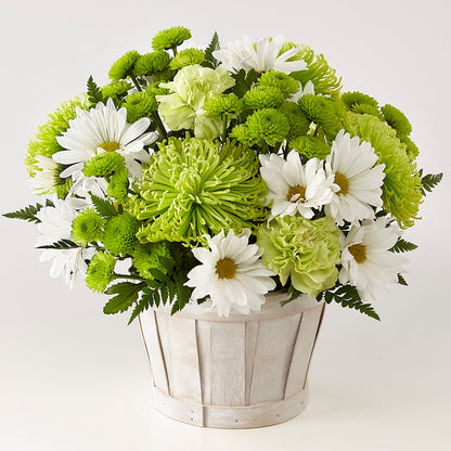 Lucky Charm Basket (Standard) – D & L FLORIST & GIFTS LLC, Houston MO
