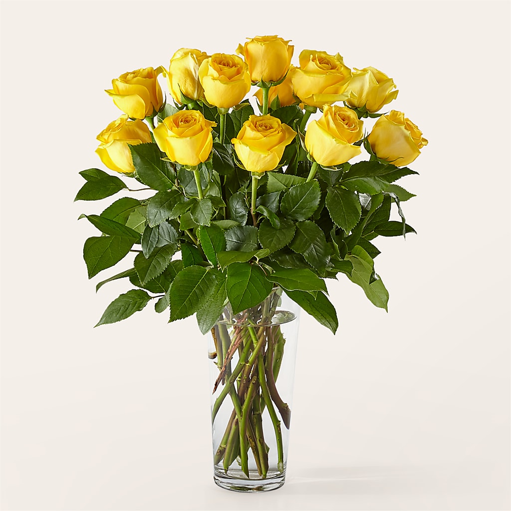 Long Stem Yellow Rose Bouquet – D & L FLORIST & GIFTS LLC, Houston MO