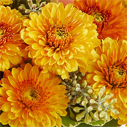 Peachy Pumpkin – D & L FLORIST & GIFTS LLC, Houston MO