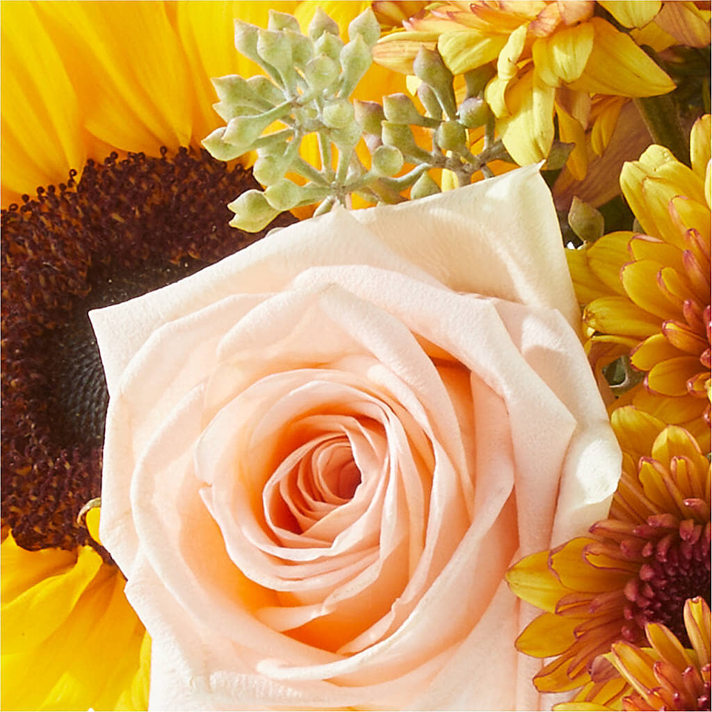 Pumpkin to Talk About Bouquet – D & L FLORIST & GIFTS LLC, Houston MO
