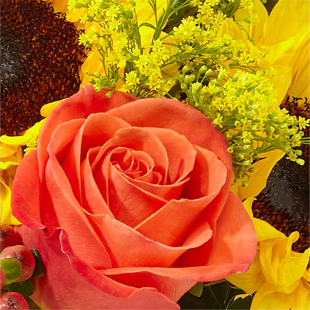 Pick of the Patch Pumpkin Bouquet – D & L FLORIST & GIFTS LLC, Houston MO