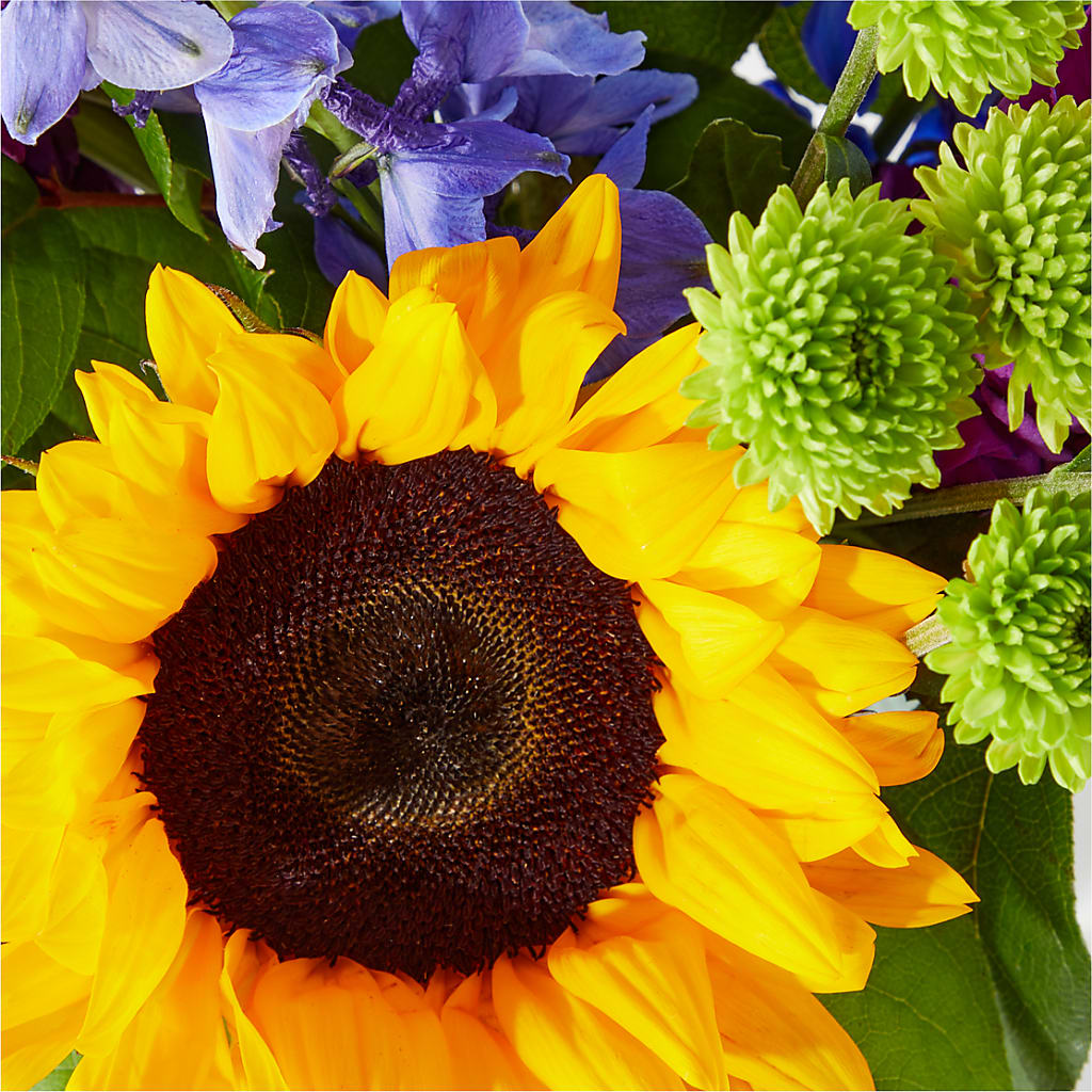 Catching Rays Bouquet – D & L FLORIST & GIFTS LLC, Houston MO