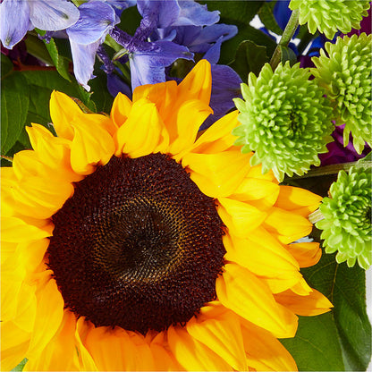 Catching Rays Bouquet – D & L FLORIST & GIFTS LLC, Houston MO