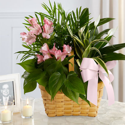 Living Spirit Dishgarden – D & L FLORIST & GIFTS LLC, Houston MO