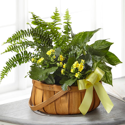 Always Dear Dishgarden – D & L FLORIST & GIFTS LLC, Houston MO