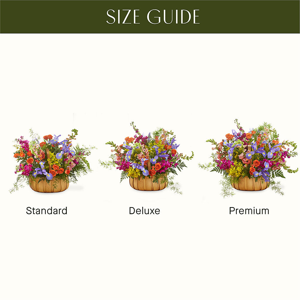Garden of Life Basket – D & L FLORIST & GIFTS LLC, Houston MO