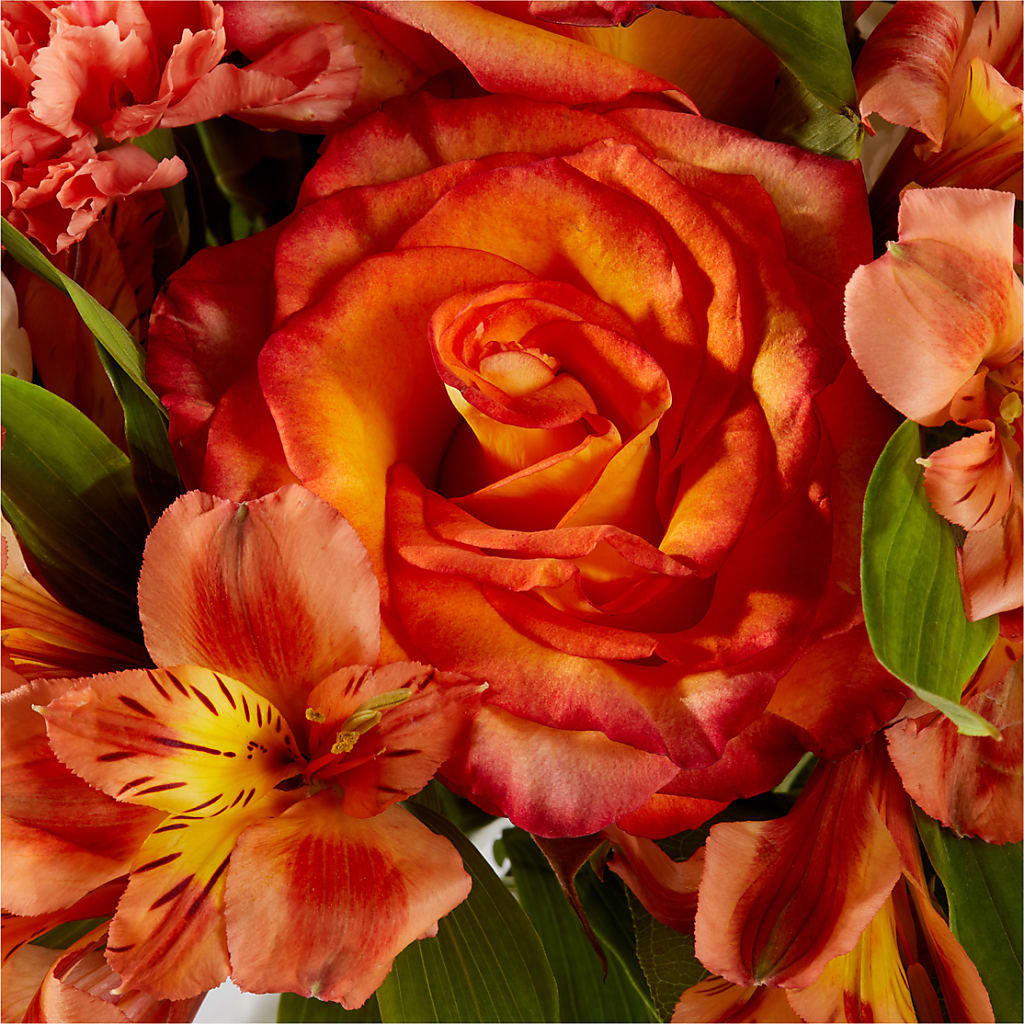 Apricot Glow Bouquet – D & L FLORIST & GIFTS LLC, Houston MO