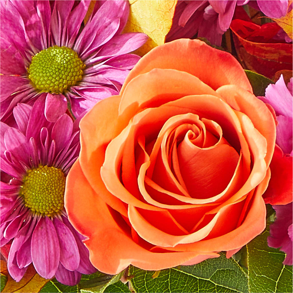 Mum's the Word Bouquet – D & L FLORIST & GIFTS LLC, Houston MO