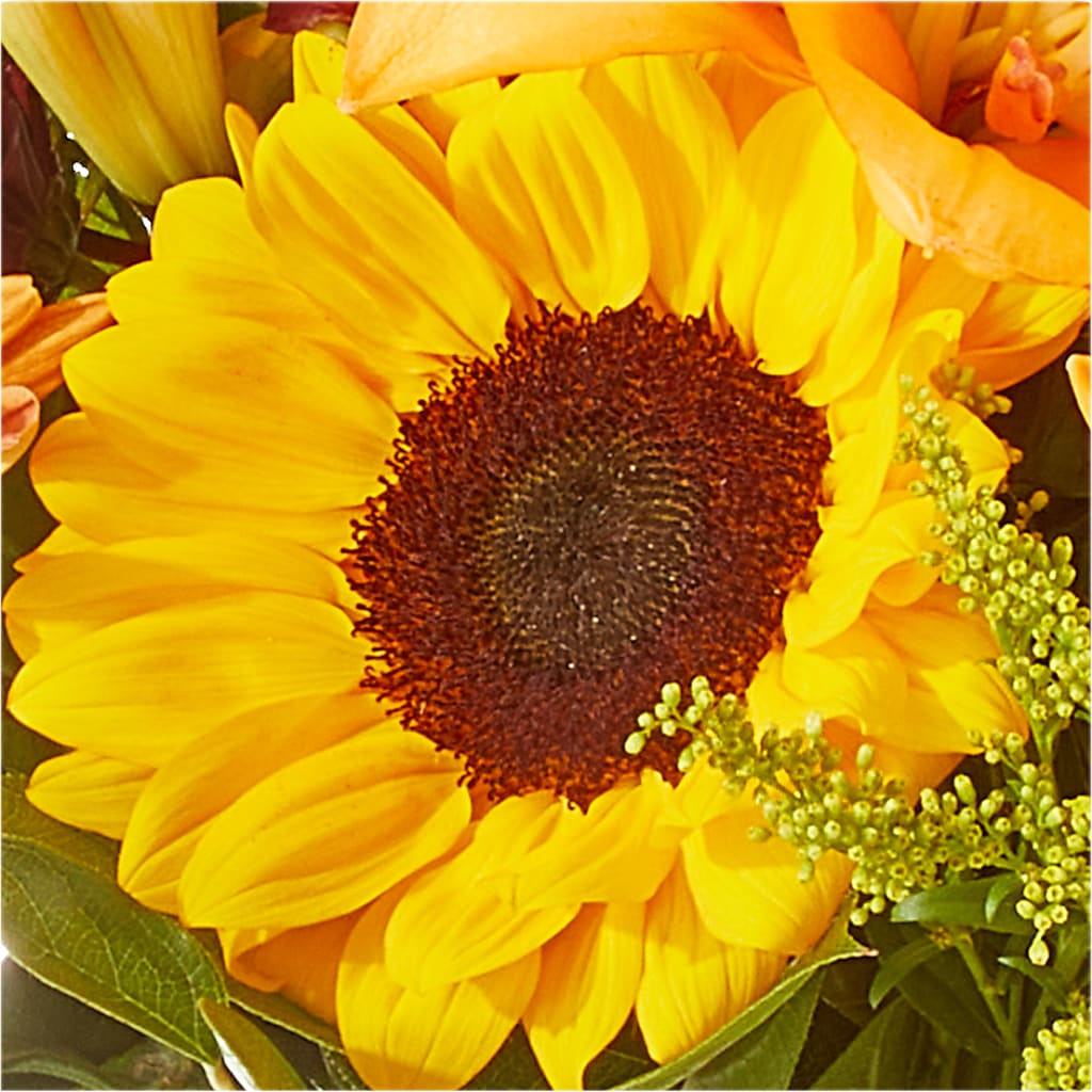 Seasons Change Bouquet – D & L FLORIST & GIFTS LLC, Houston MO